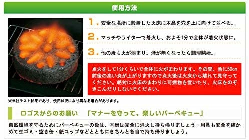 Logos 椰子炭 大粒2粒裝 (只寄順豐站/智能櫃)