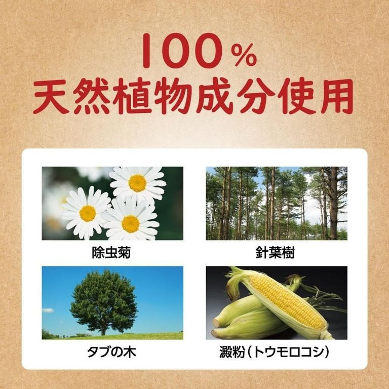 日本金鳥の渦卷蚊香 紙盒裝 (10卷)-全天然蚊香
